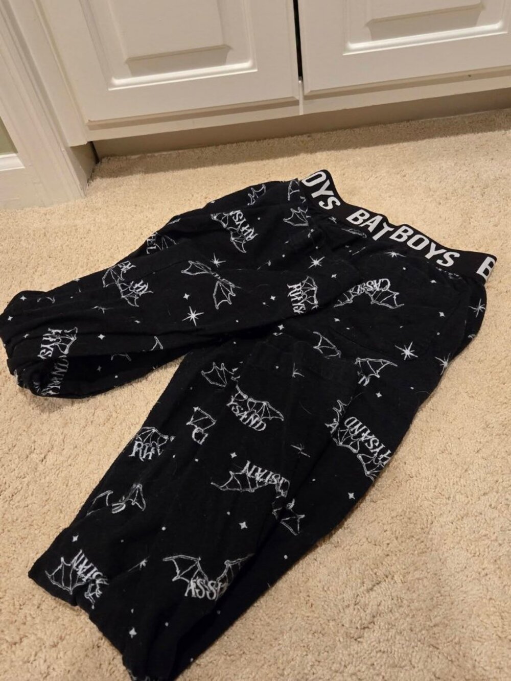 Hot Topic A Court of Thorns and Roses Bat Boys Pajama Pants Size Small - Picture 3 of 9